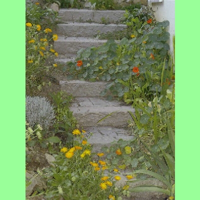 Leistenstein gelb S10H25